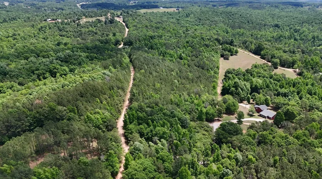 Ashland AL, Creek Road, Unit Lot 2