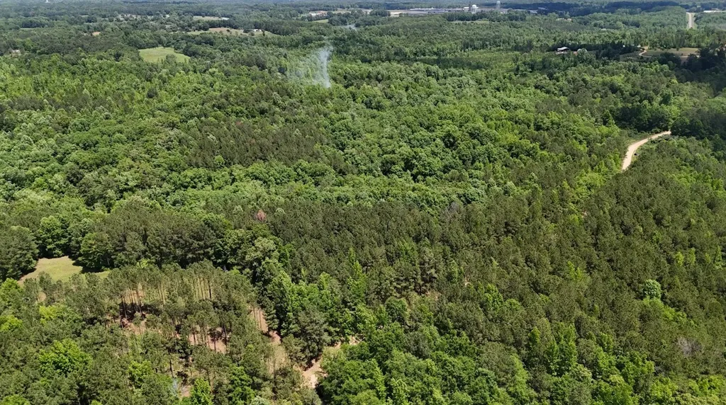0 Creek Road Ashland AL 36251