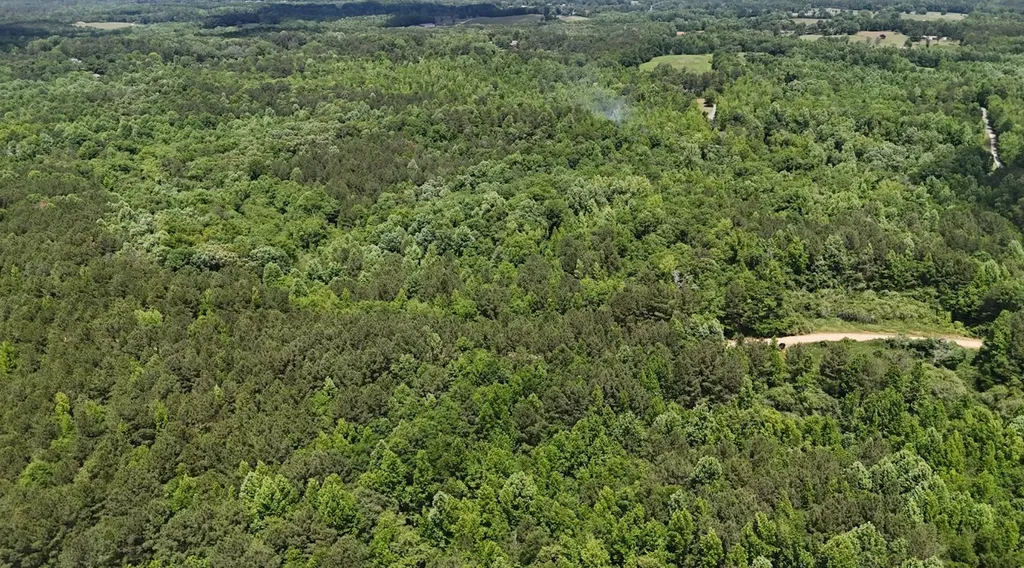 0 Creek Road Ashland AL 36251