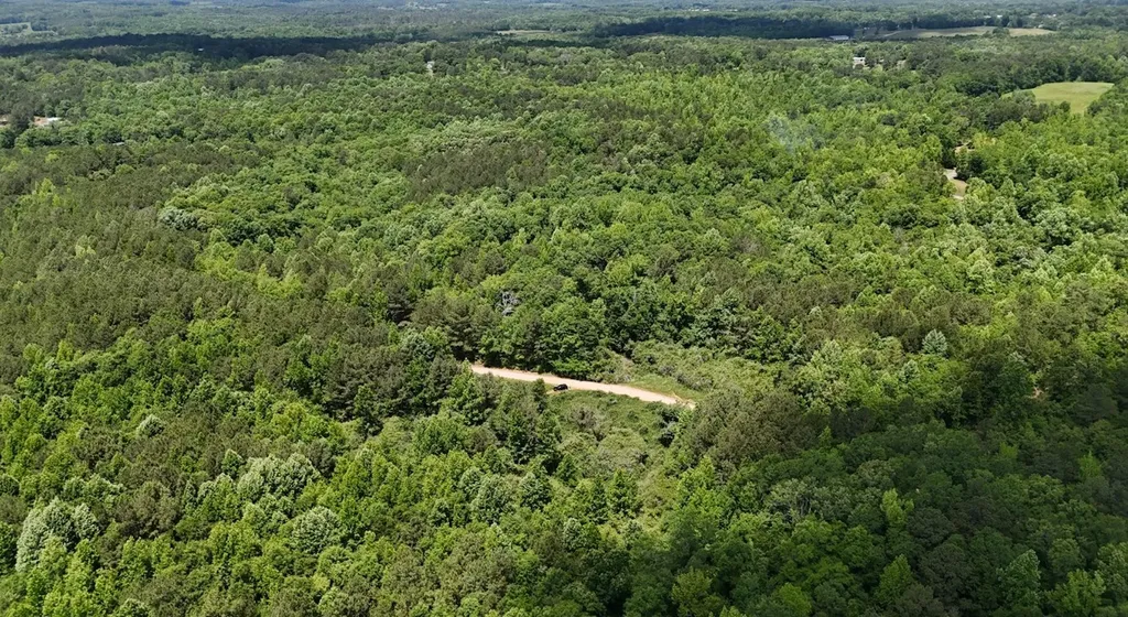 0 Creek Road Ashland AL 36251