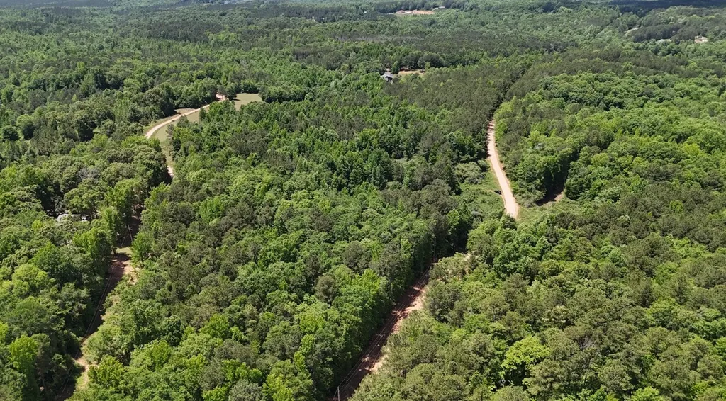 0 Creek Road Ashland AL 36251