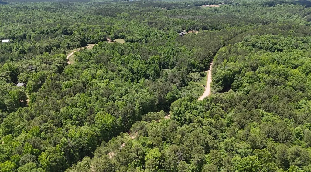 0 Creek Road Ashland AL 36251
