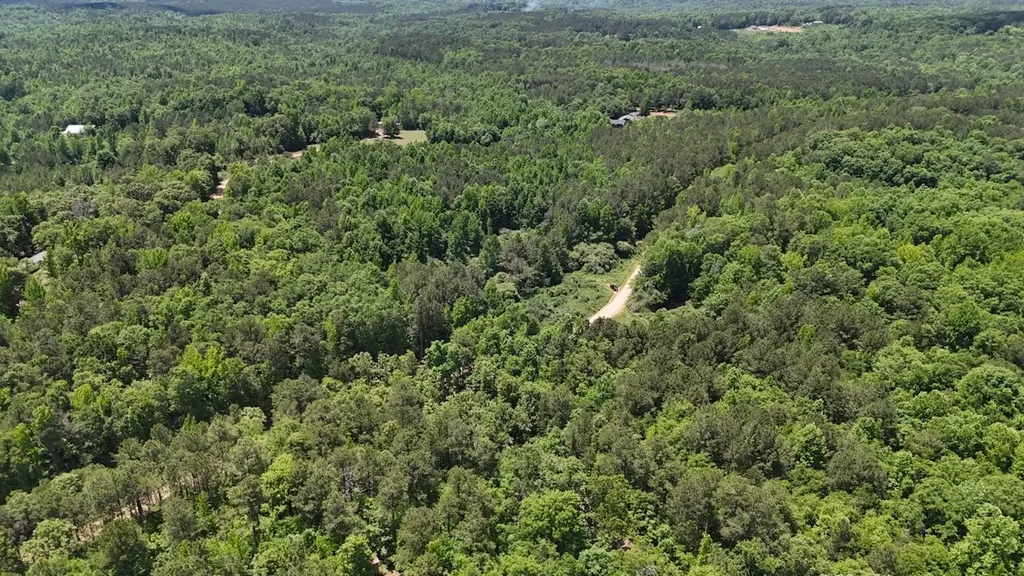 0 Creek Road Ashland AL 36251