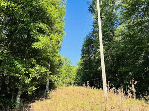 0 Creek Road Ashland AL 36251