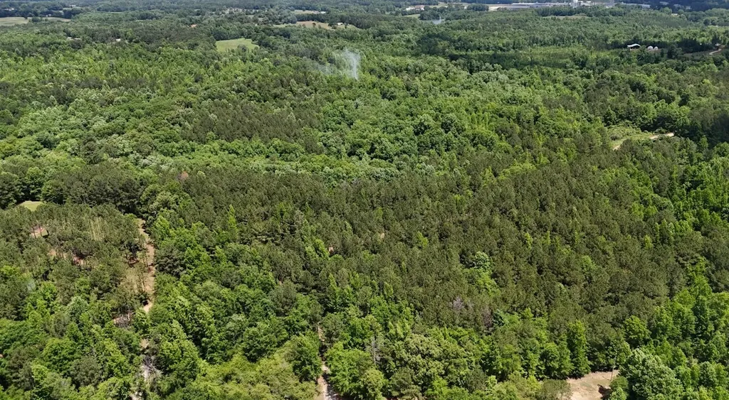 0 Creek Road Ashland AL 36251