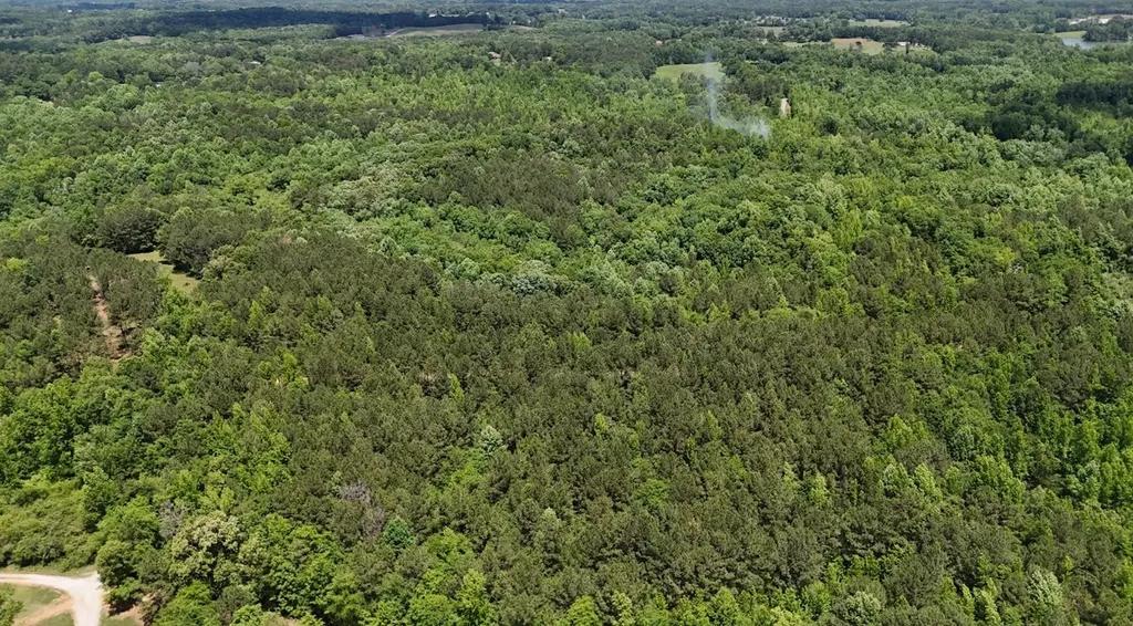 0 Creek Road Ashland AL 36251