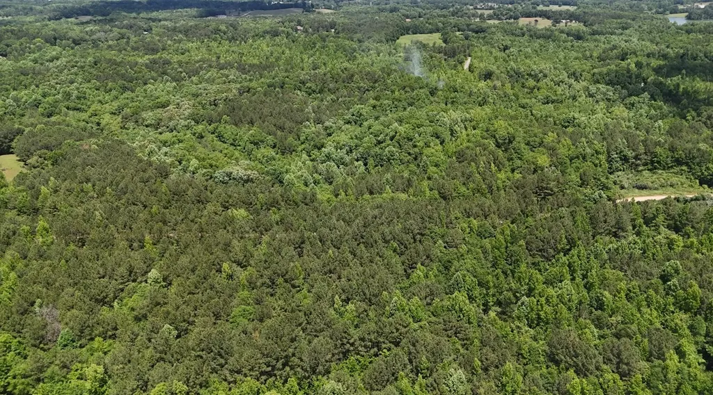 0 Creek Road Ashland AL 36251