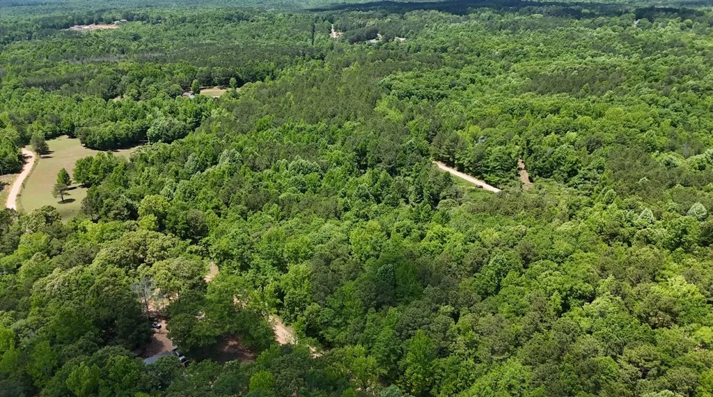 0 Creek Road Ashland AL 36251