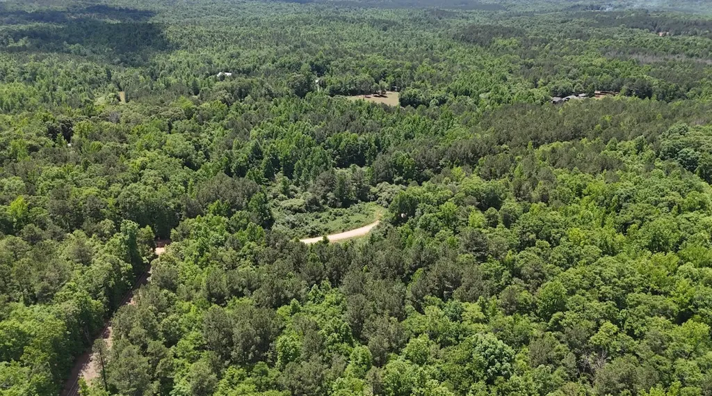 0 Creek Road Ashland AL 36251