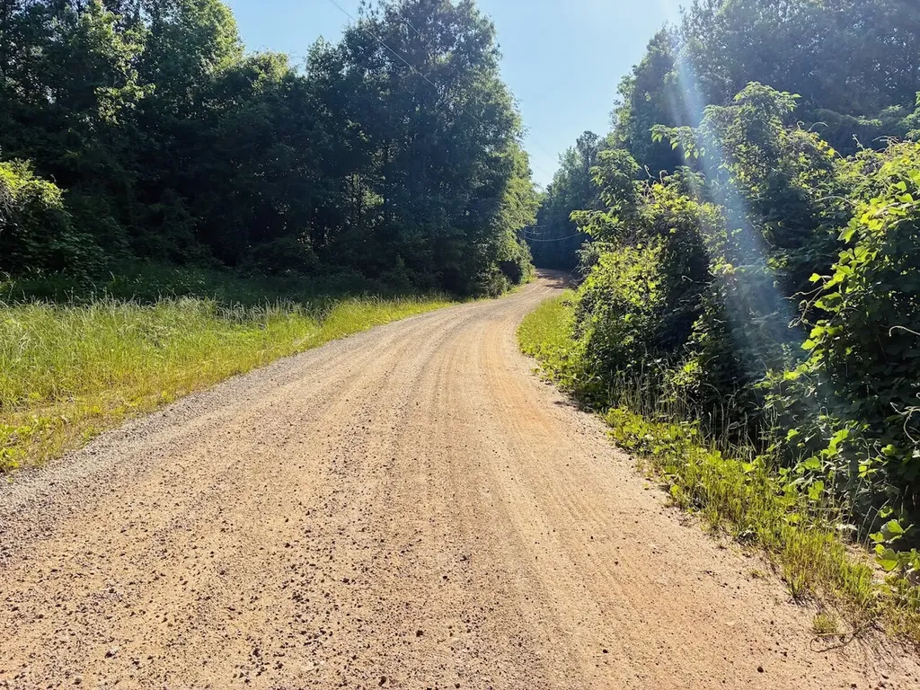 0 Creek Road Ashland AL 36251