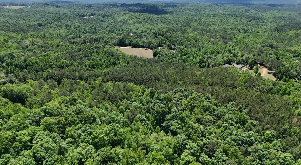 0 Creek Road Ashland AL 36251