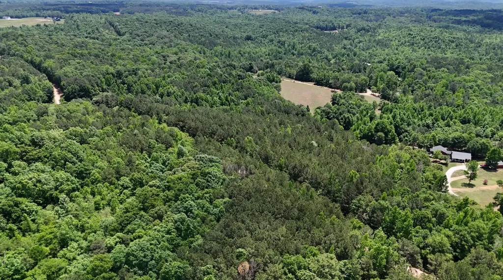 0 Creek Road Ashland AL 36251