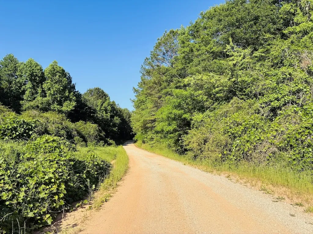 0 Creek Road Ashland AL 36251