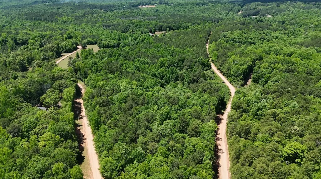 0 Creek Road Ashland AL 36251
