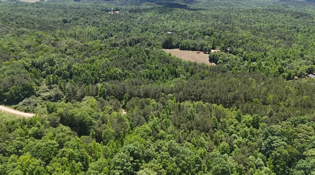0 Creek Road Ashland AL 36251