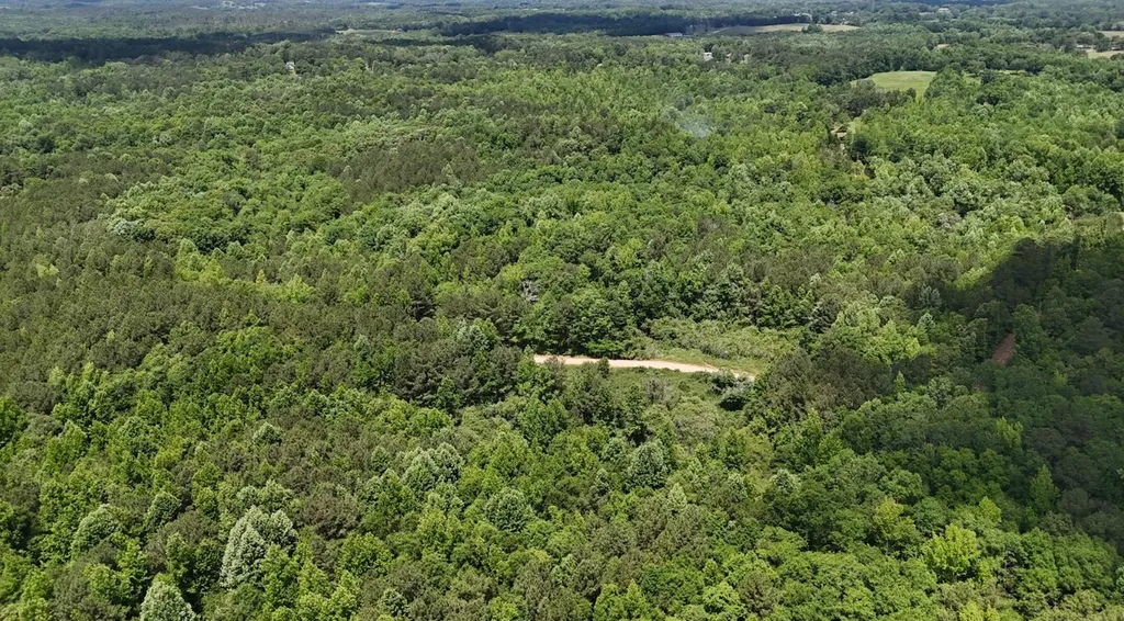 0 Creek Road Ashland AL 36251