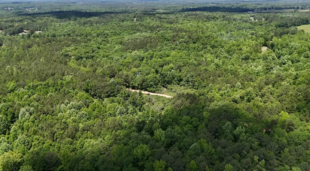 0 Creek Road Ashland AL 36251