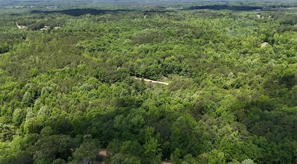 0 Creek Road Ashland AL 36251