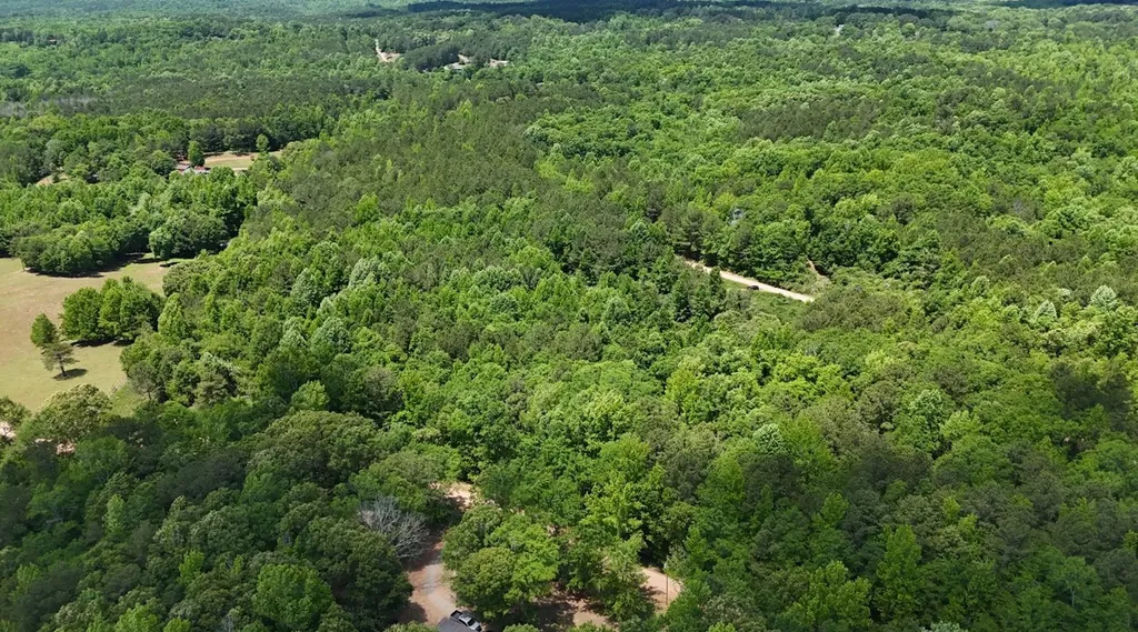 0 Creek Road Ashland AL 36251
