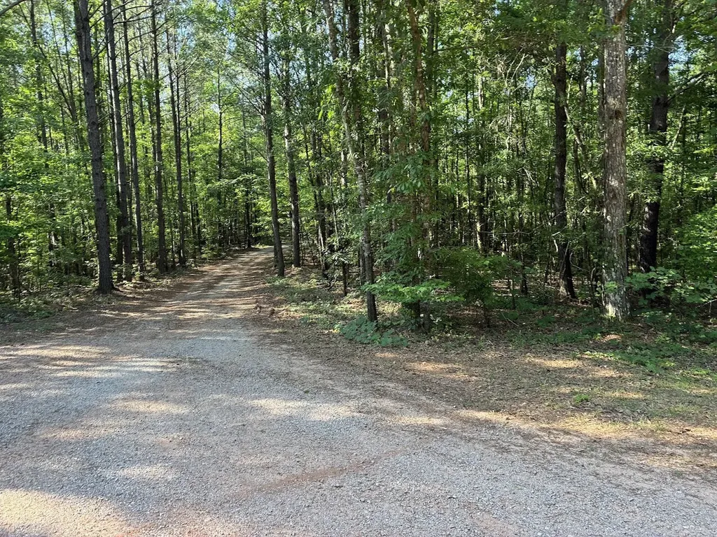 Ashland AL, Creek Road, Unit Lot 5