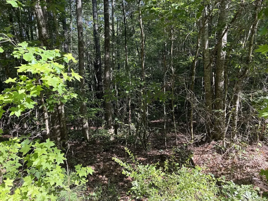 0 Creek Road Ashland AL 36251