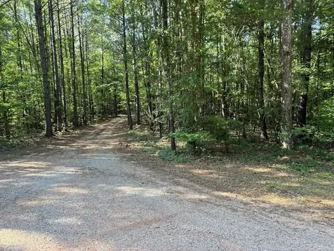 0 Creek Road Ashland AL 36251