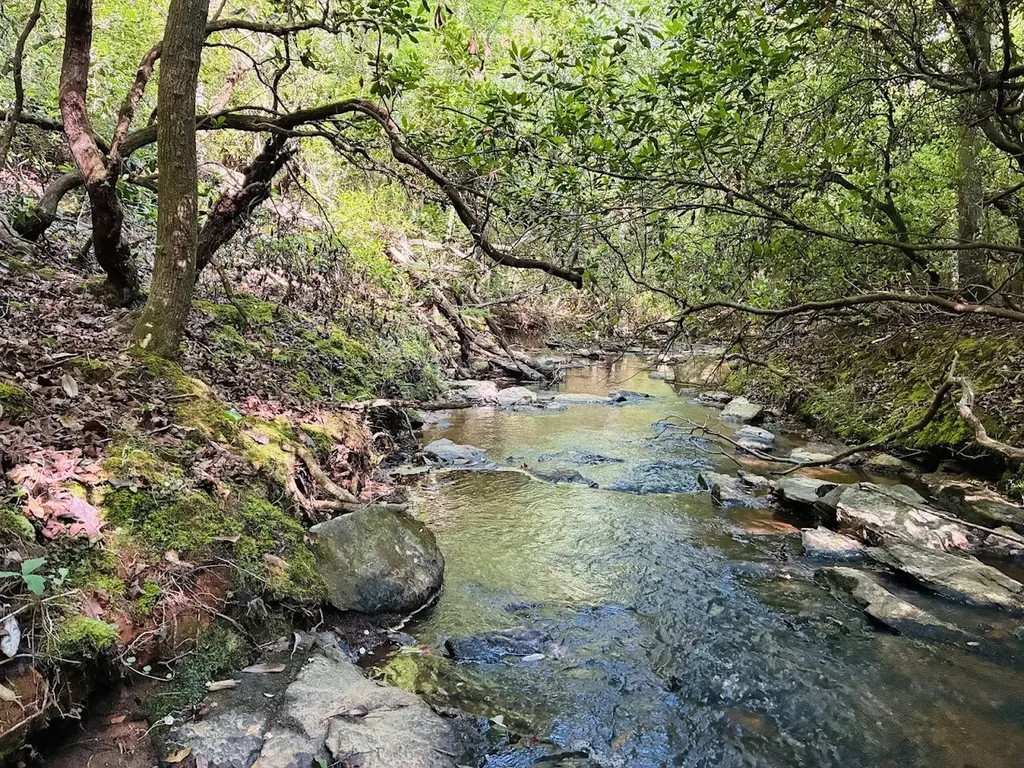 0 Creek Road Ashland AL 36251