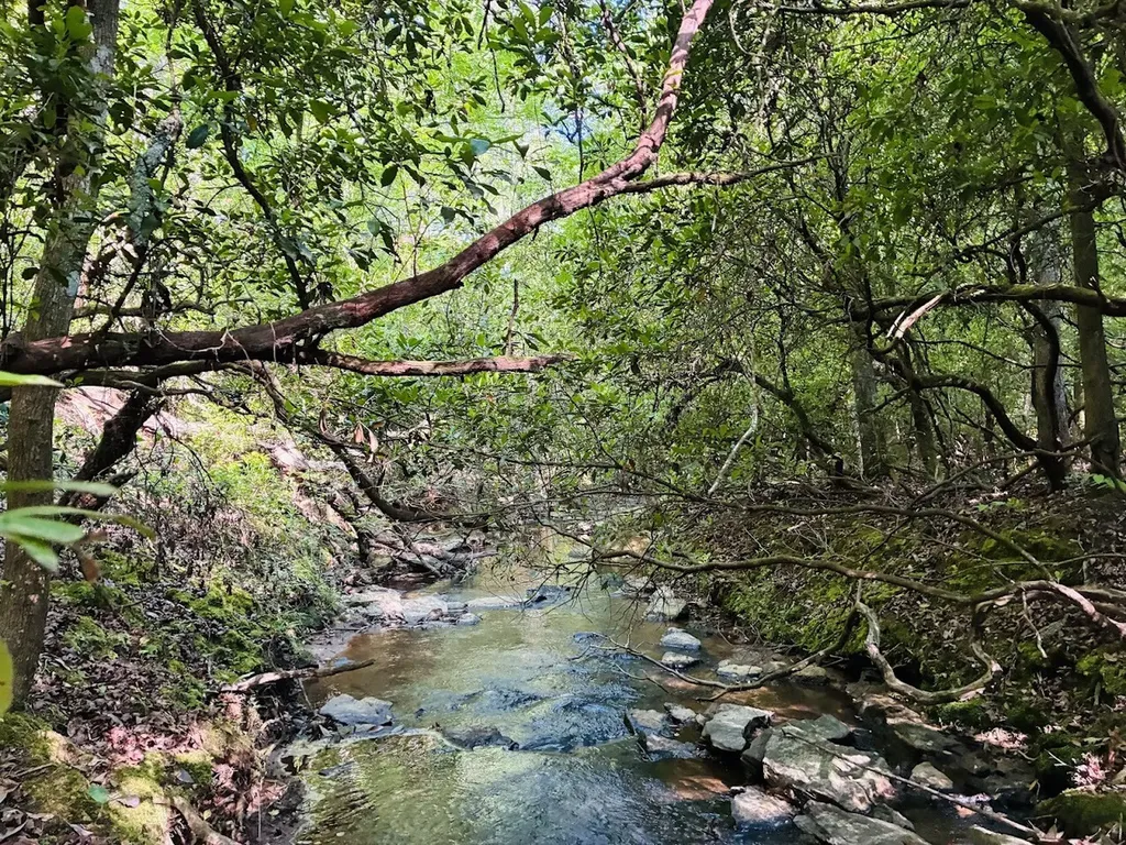0 Creek Road Ashland AL 36251
