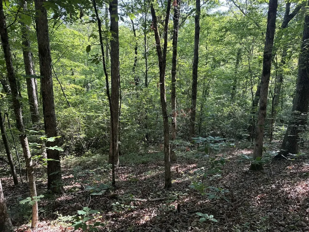 0 Creek Road Ashland AL 36251