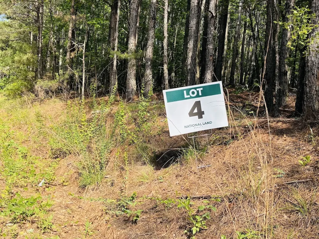 0 Creek Road Ashland AL 36251