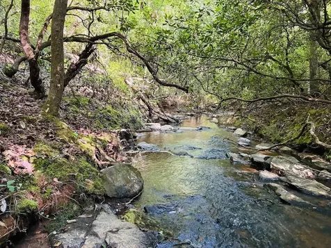 0 Creek Road Ashland AL 36251