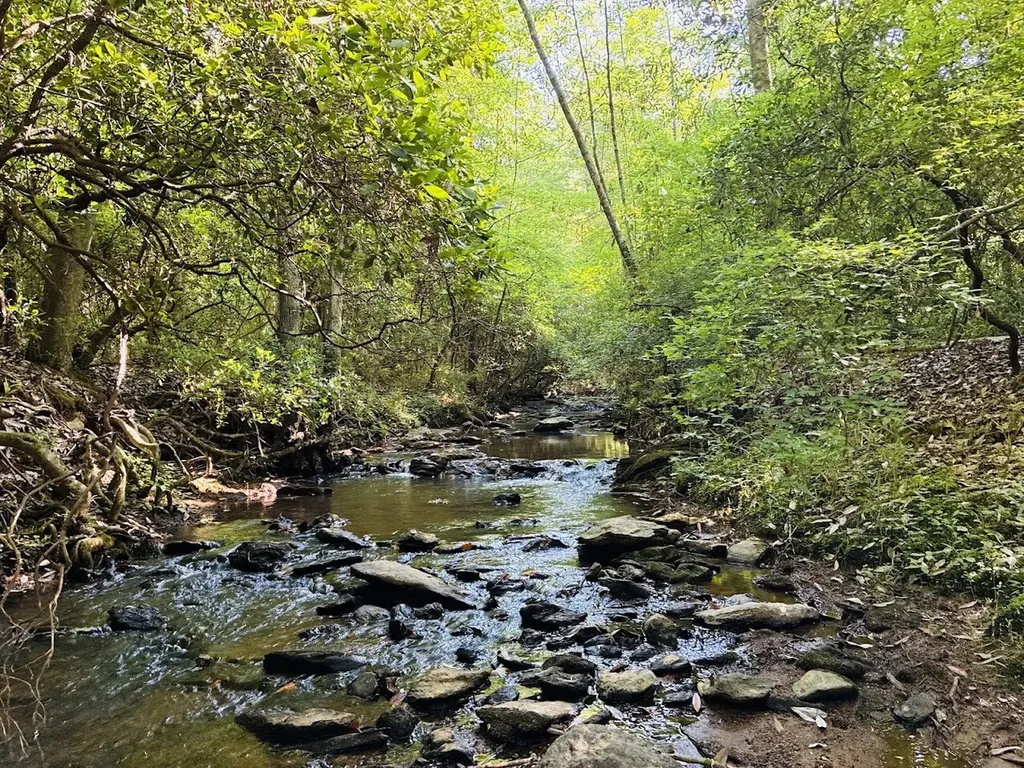 Ashland AL, Creek Road, Unit Lot 3