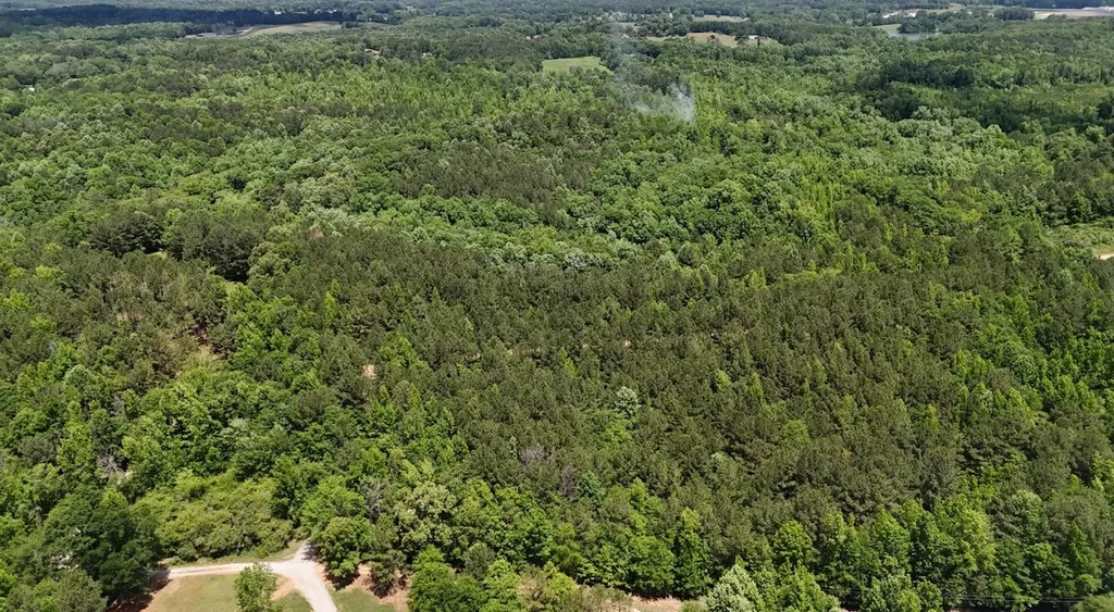 0 Creek Road Ashland AL 36251