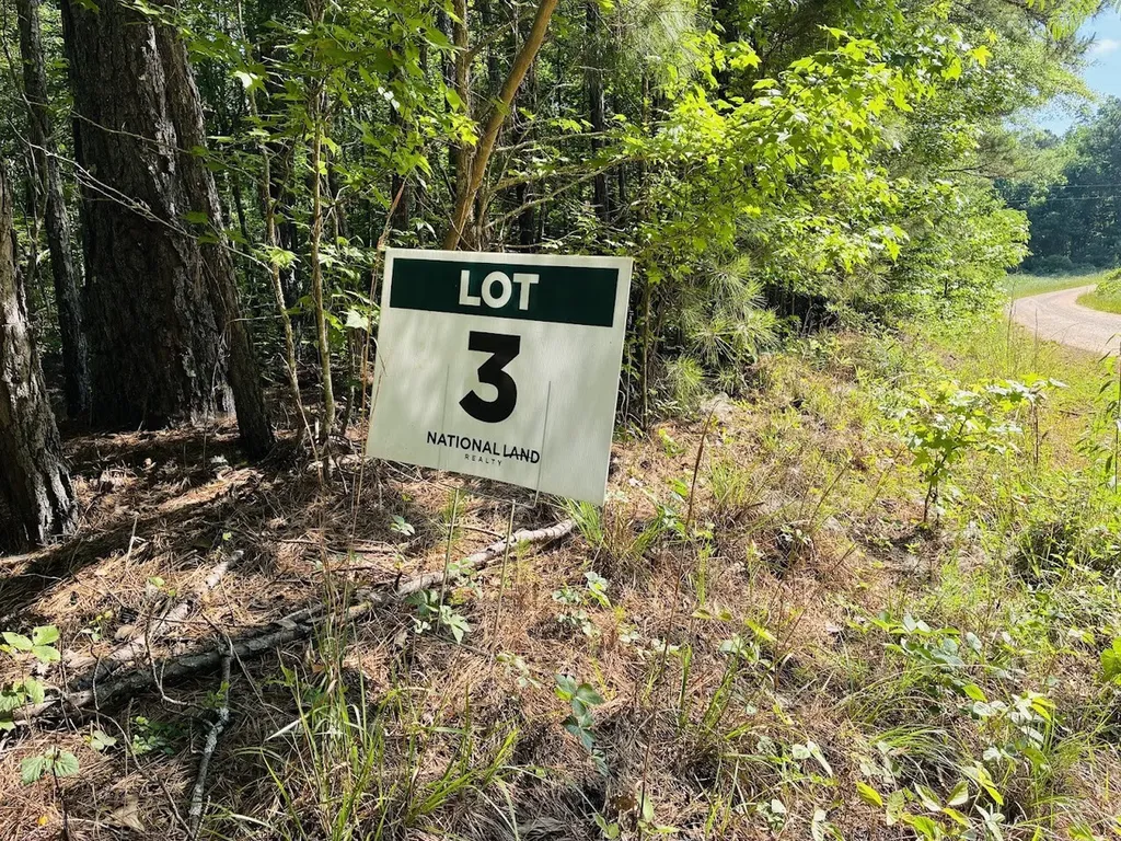 0 Creek Road Ashland AL 36251