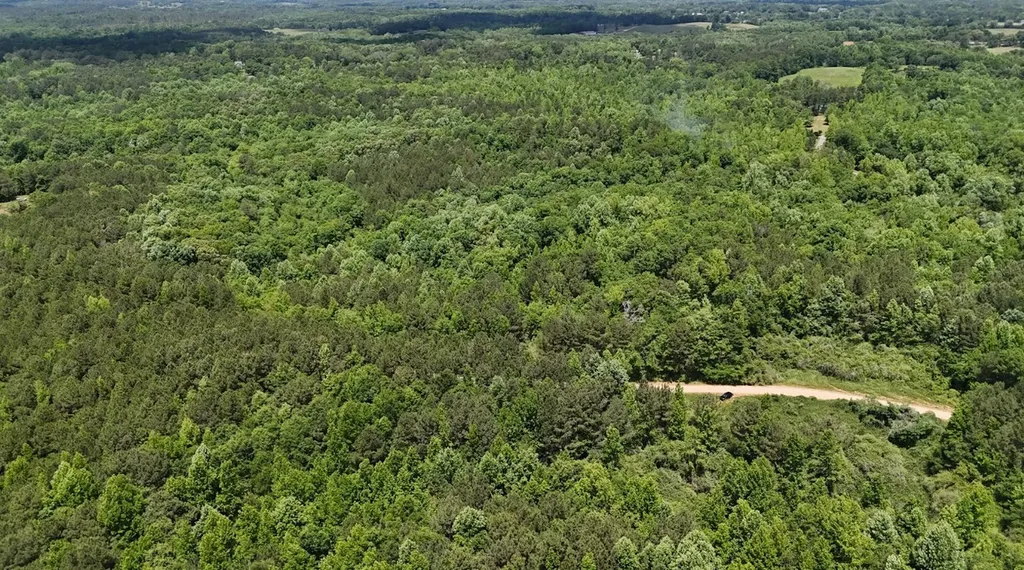 0 Creek Road Ashland AL 36251