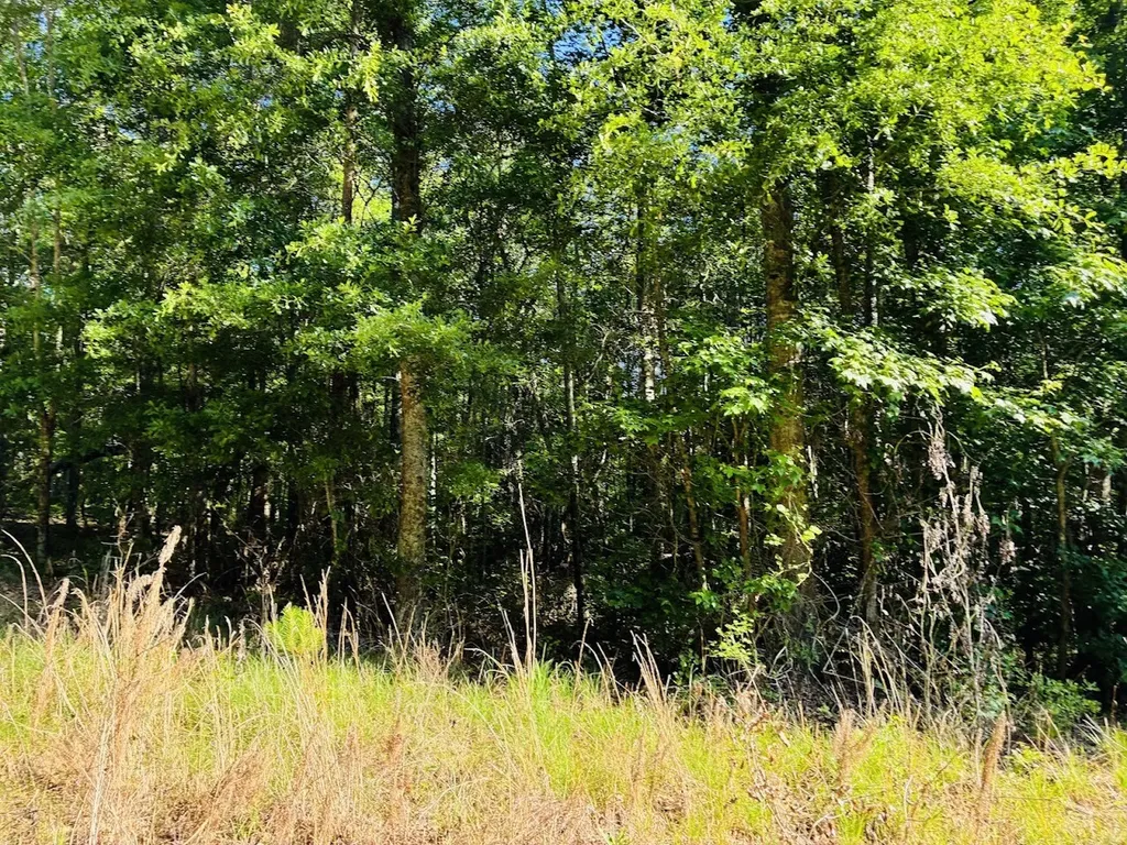 0 Creek Road Ashland AL 36251