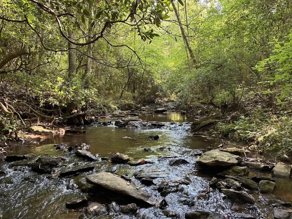 0 Creek Road Ashland AL 36251