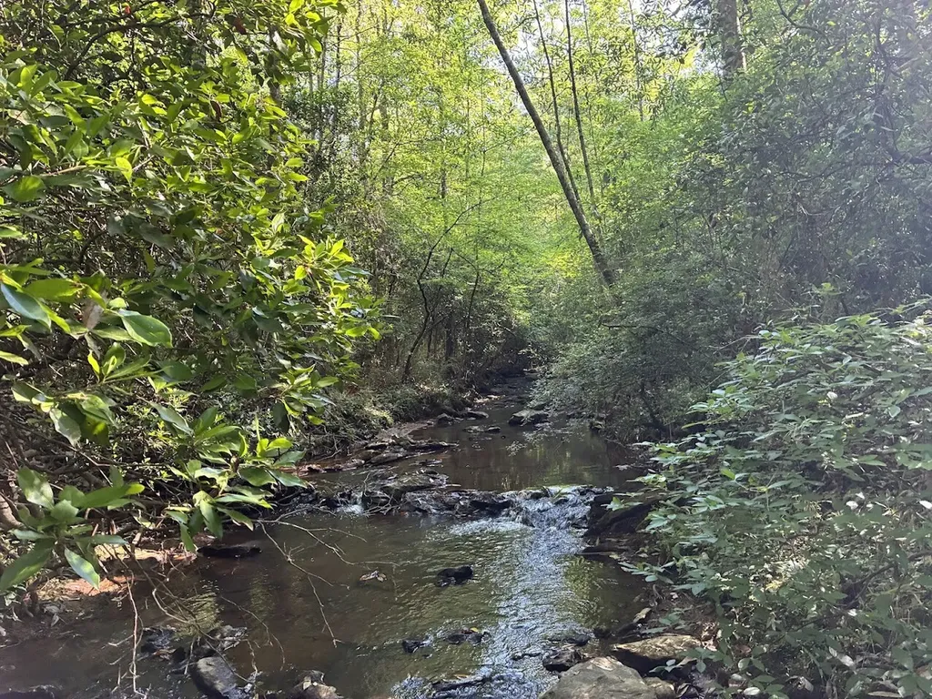 0 Creek Road Ashland AL 36251