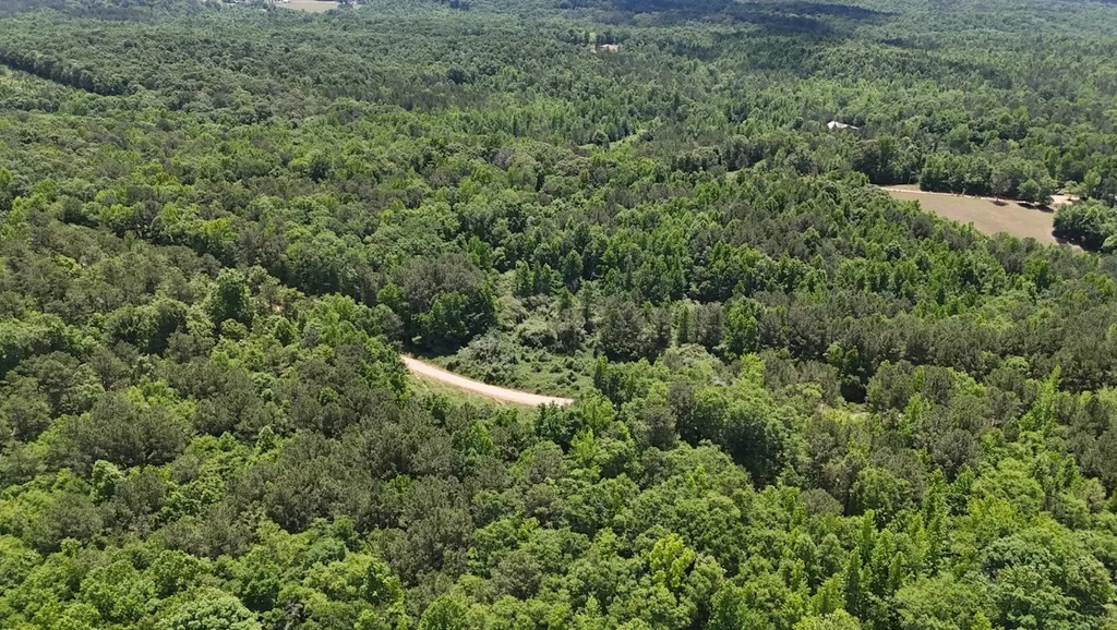 0 Creek Road Ashland AL 36251