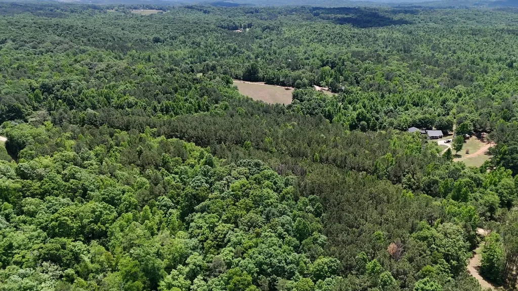 0 Creek Road Ashland AL 36251