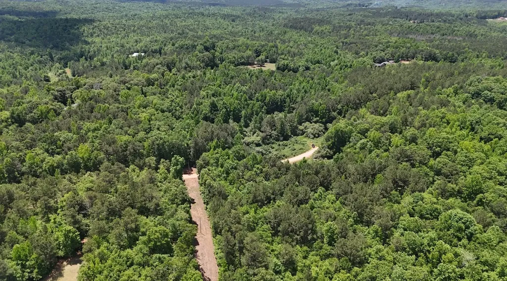 0 Creek Road Ashland AL 36251