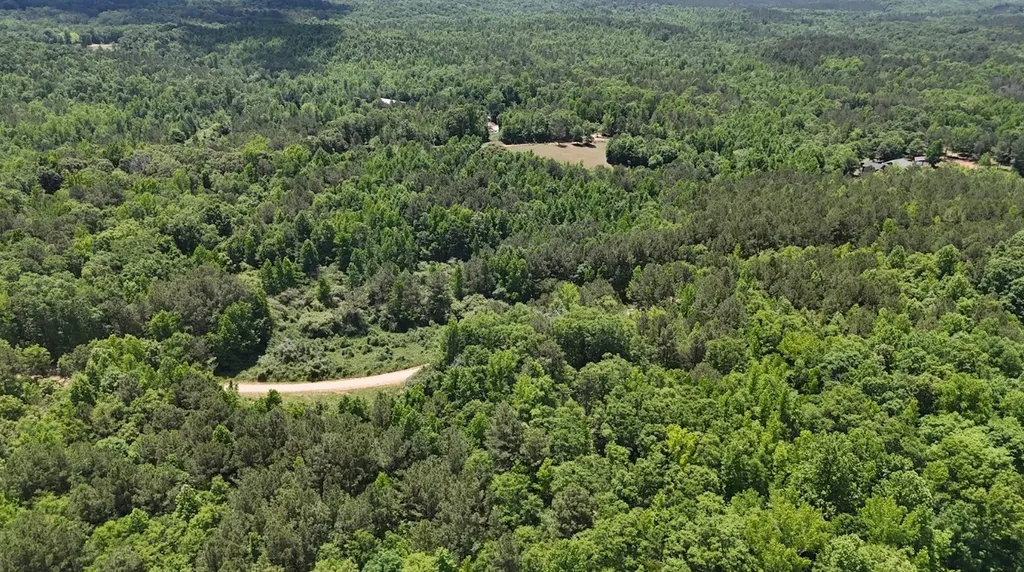 0 Creek Road Ashland AL 36251