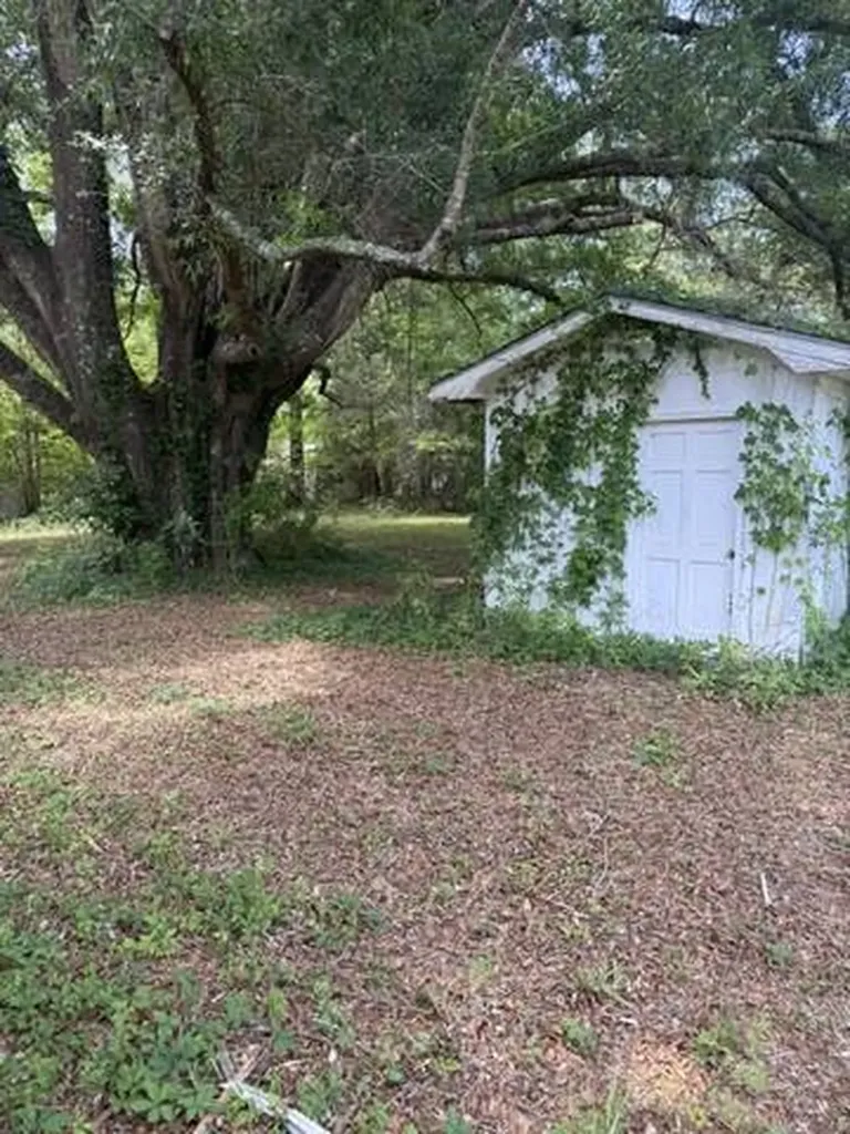 98 Desoto Drive Whatley AL 36482