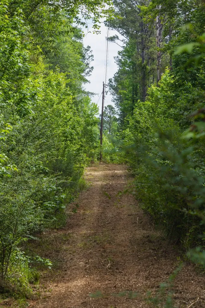 0 County Road 51 Greenesboro AL 36744