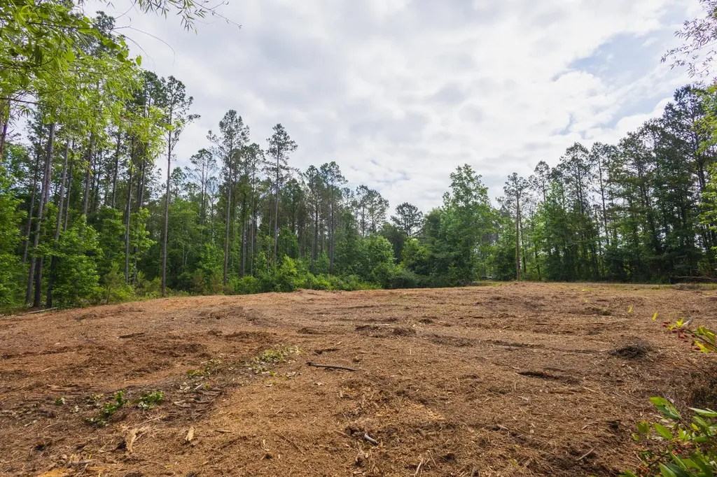 0 County Road 51 Greenesboro AL 36744