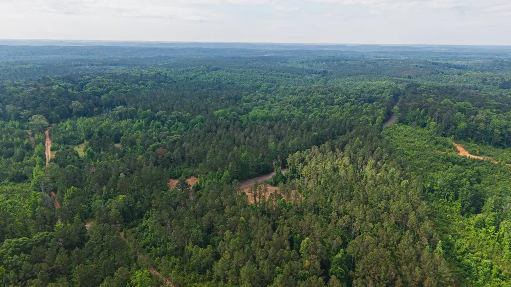 0 County Road 51 Greenesboro AL 36744