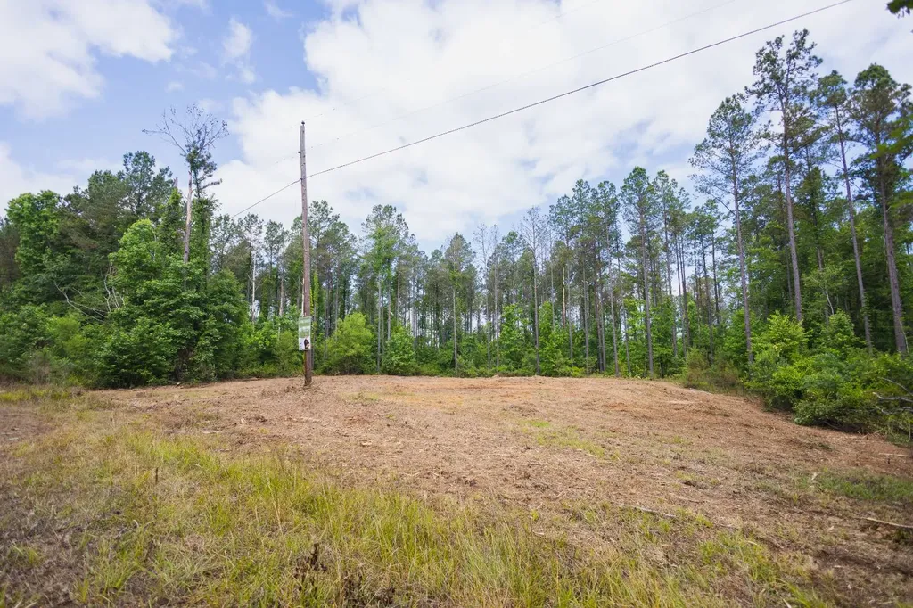 0 County Road 51 Greenesboro AL 36744