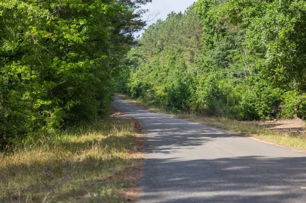 0 County Road 51 Greenesboro AL 36744