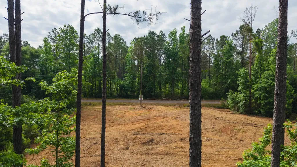 0 County Road 51 Greenesboro AL 36744