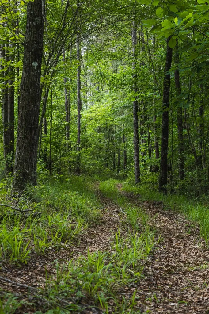 0 County Road 51 Greensboro AL 36744